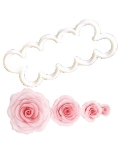 FMM Uitsteker Set Roos