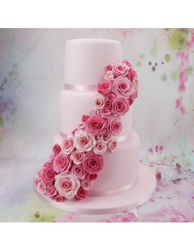 FMM Uitsteker Set Roos