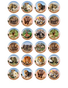 Eetbare Print Wilde Dieren Mini Cupcakes - 4cm