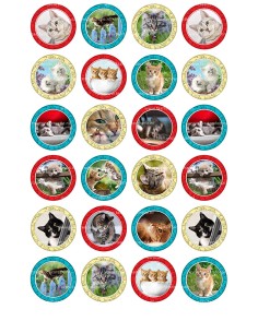Eetbare Print Katten Mini Cupcakes - 4cm