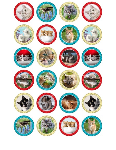 Eetbare Print Katten Mini Cupcakes - 4cm