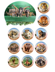 DIY Taarttopper Dierentuin 2 - 13cm 2