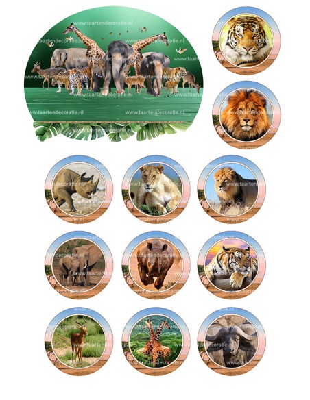 DIY Taarttopper Dierentuin 2 - 13cm