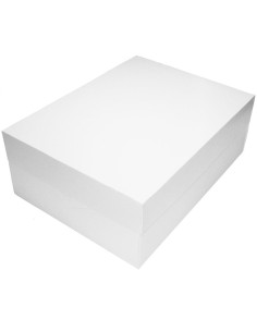 Taartdoos Blanco Rechthoek 40x30x15cm -1st-