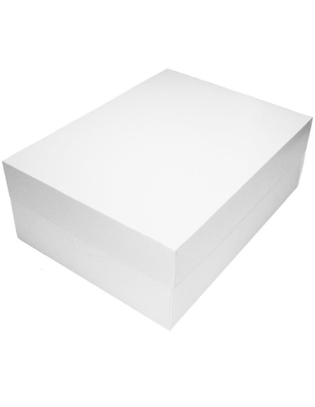 Taartdoos Blanco Rechthoek 40x30x15cm -1st-