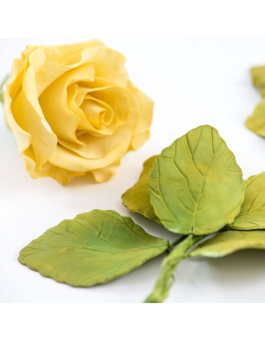 Decora Uitsteker Set Rozenblad -5st-