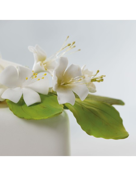 Decora Uitsteker Set Rozenblad -5st-