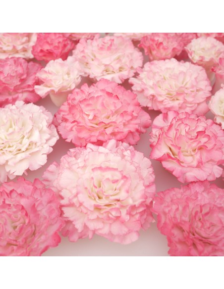 FMM Cutter Easiest Carnation Ever <>