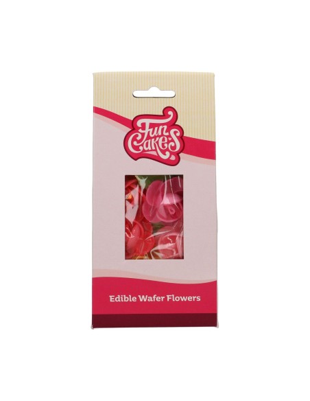 FunCakes Ouwel Bloemen Frangipani & Blad -15st-