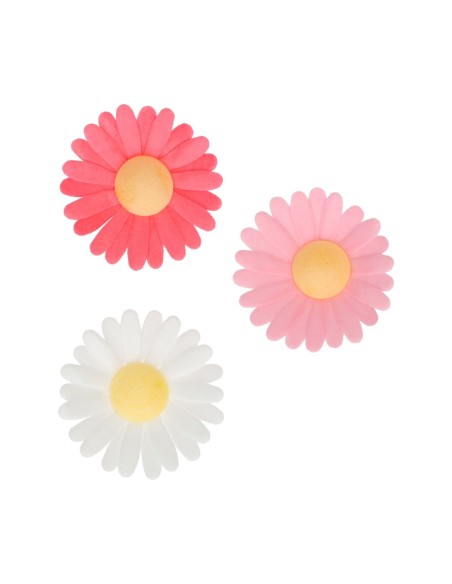 FunCakes Ouwel Bloemen Madelief -13st-