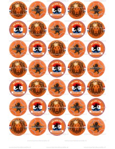 Eetbare Print Holland Mini Cupcakes - 3,5cm