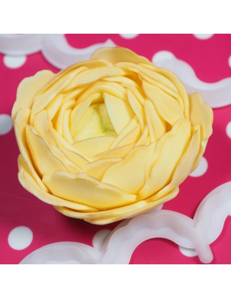 FMM Uitsteker Set Ranonkel