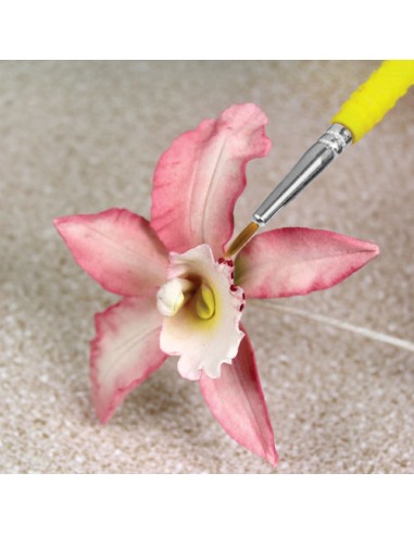 PME Fine Craft Brush Set