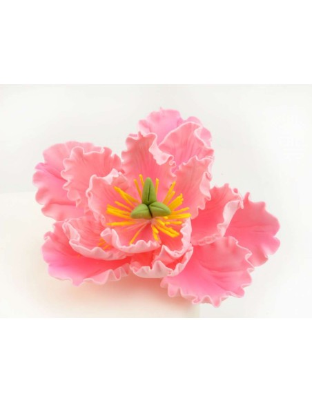 Cake Masters Suikerbloem Pioenroos Roze -11,4cm- 1st