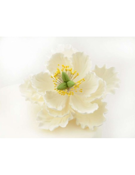 Cake Masters Suikerbloem Pioenroos Wit -11,4cm- 1st