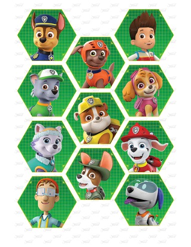 Eetbare Print Paw Patrol  Hexagon - 7cm