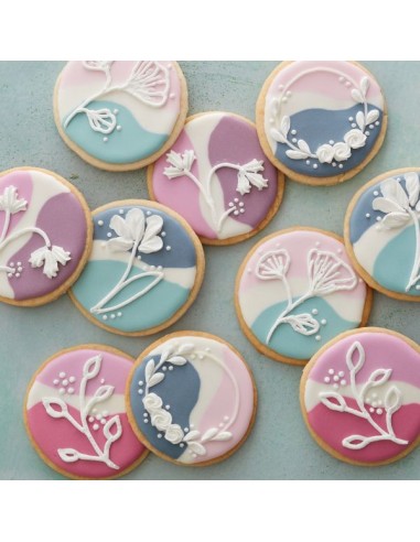 Wilton Koekjes Decoratie Set -12st-