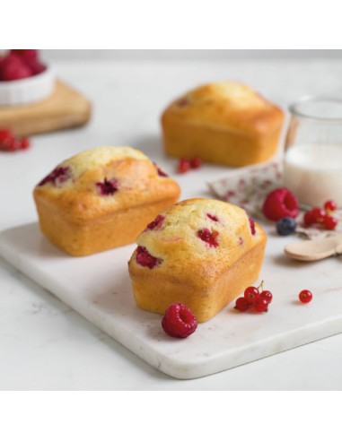 Decora Mini Bakvorm Rechthoek -8st- 