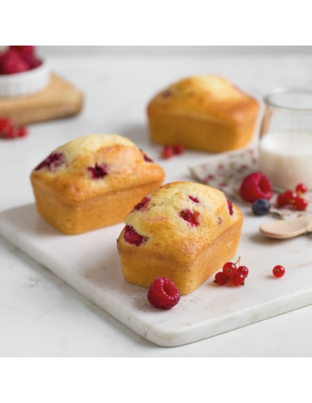 Decora Mini Bakvorm Rechthoek -8st- 