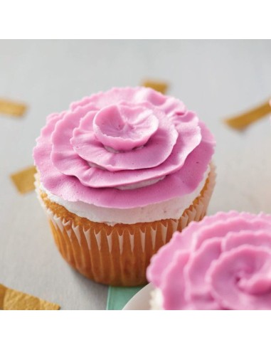 Wilton Spuitmondjes Set DeLuxe -29st-