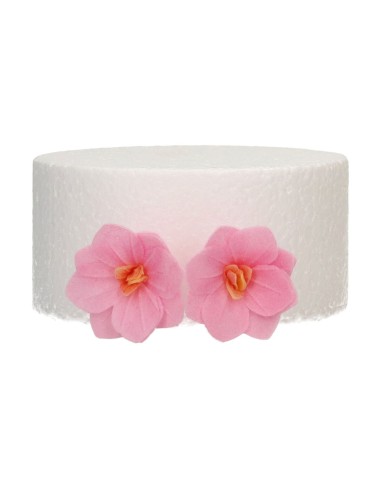 FunCakes Ouwel Bloemen Hortensia Roze Klein -18st-