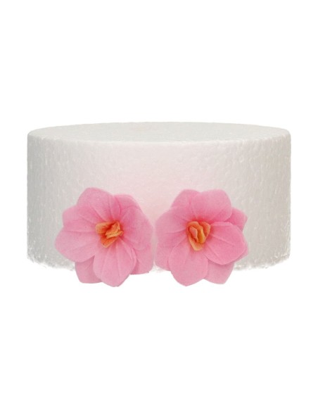 FunCakes Ouwel Bloemen Hortensia Roze Klein -18st-