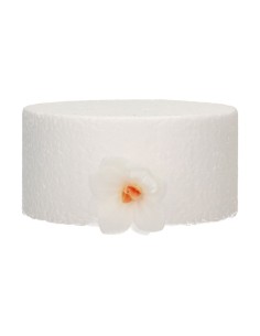 FunCakes Ouwel Bloemen Hortensia Wit Klein -18st- 2