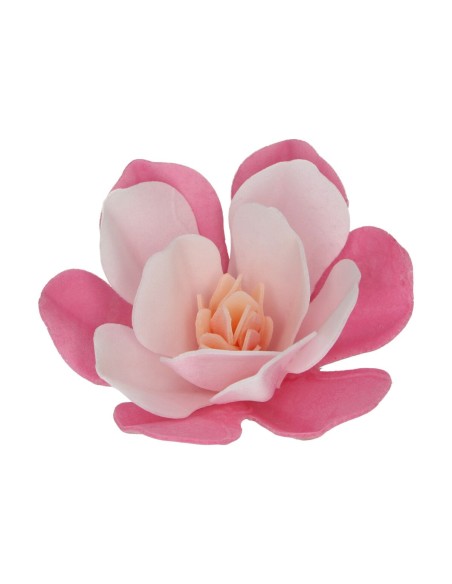 FunCakes Ouwel Bloemen Magnolia Roze Groot -6st-