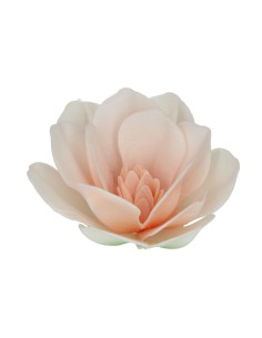 FunCakes Ouwel Bloemen Magnolia Wit/Pastel Groot -6st- 2