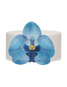 FunCakes Ouwel Bloemen Orchidee Blauw Medium -10st- 2