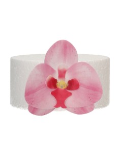 FunCakes Ouwel Bloemen Orchidee Roze Medium -10st- 2