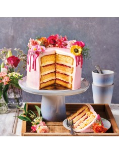 FunCakes Mix voor Biscuit Deluxe -10kg- 2