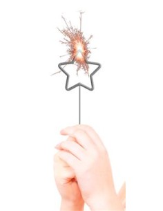 Feeststerretje Vorm Ster //