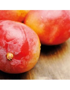 FunCakes Smaakpasta Mango -120gr- 2