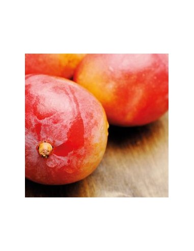 FunCakes Smaakpasta Mango -120gr-