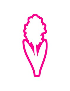 3D Uitsteker op Maat: Hyacinth - Los of Set