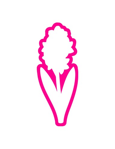 3D Uitsteker op Maat: Hyacinth - Los of Set