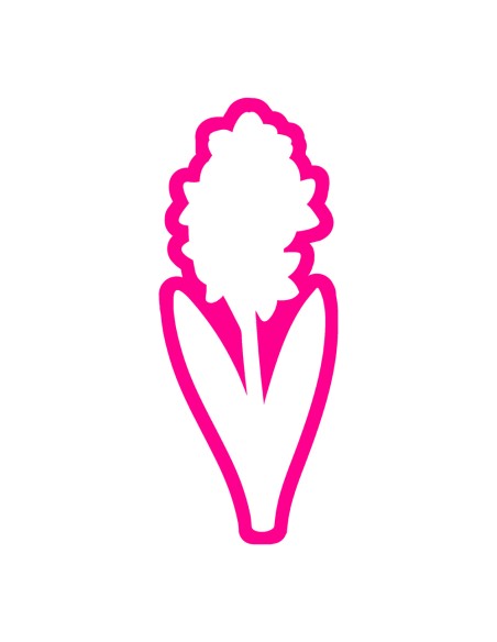 3D Uitsteker op Maat: Hyacinth - Los of Set