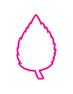 3D Uitsteker op Maat: Blad Roos - Los of Set