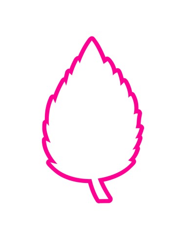 3D Uitsteker op Maat: Blad Roos - Los of Set