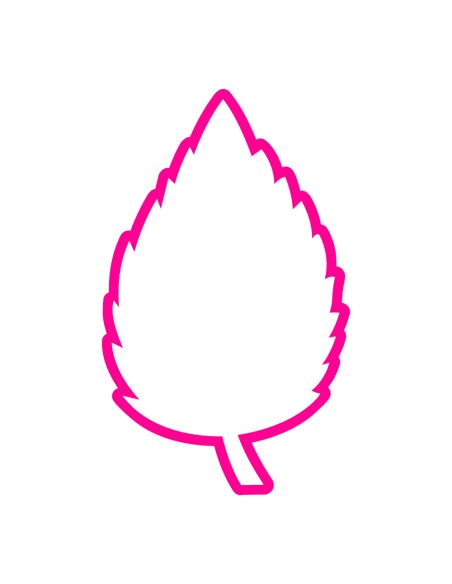 3D Uitsteker op Maat: Blad Roos - Los of Set