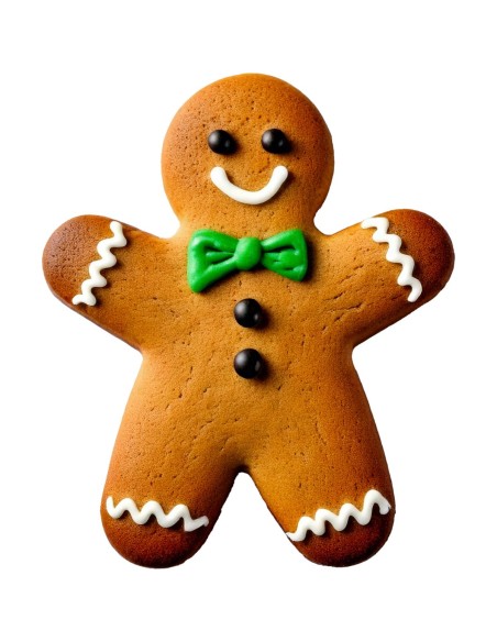 Wilton Koekjes Uitsteker Gingerbread