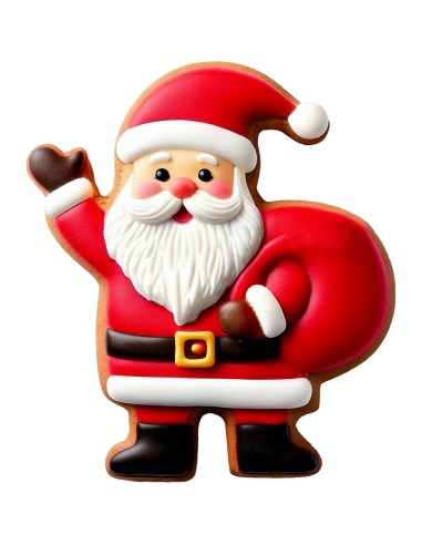 Wilton Koekjes Uitsteker Kerstman