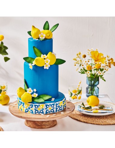 FunCakes Rolfondant Blauw Bella Blue -250gr-