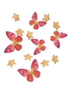 Wilton Ouwel Decoraties Bloemen & Vlinders Oranje/Roze -30st