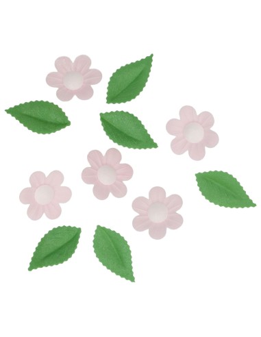 Wilton Ouwel Decoraties Bloem & Blad Roze -11st