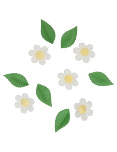 Wilton Ouwel Decoraties Bloem & Blad Wit -11st