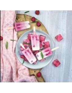 Silikomart IJsstokjes Mini -100st- 2