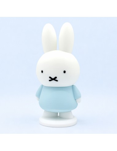 3D Taarttopper op Maat: Konijn Wit-Blauw