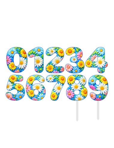 Full Colour Taarttopper op Maat: Daisy - Cijfer Enkel